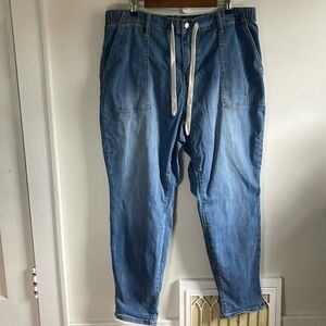 Judy Blue, Drawstring Jeans, Size 20W
